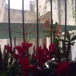 ベッド・アンド・ブレックファスト Lemon Garden