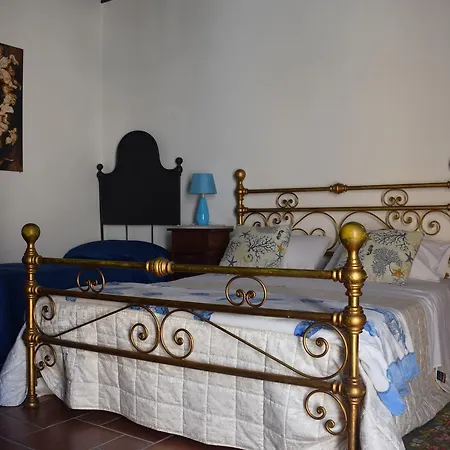 Lemon Garden شاكا