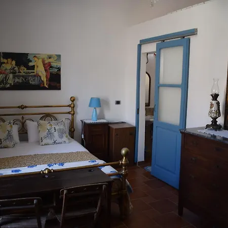 Lemon Garden シャッカ